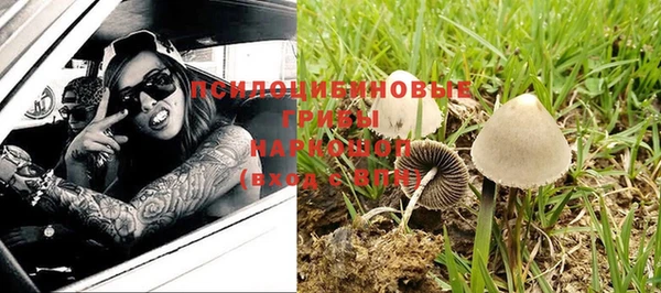 Альфа ПВП Богородск