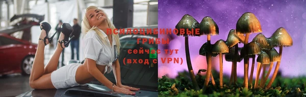 Альфа ПВП Богородск