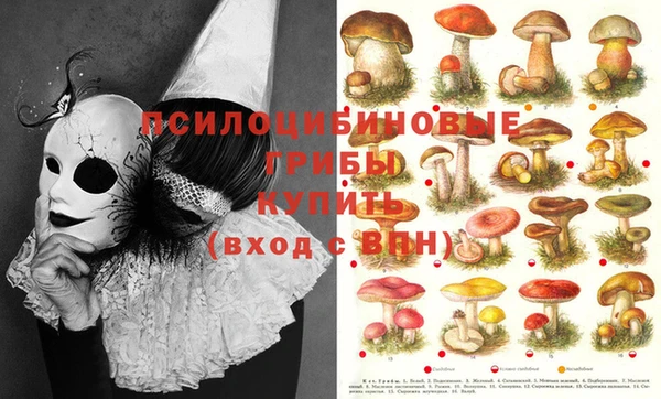 2c-b Богородицк