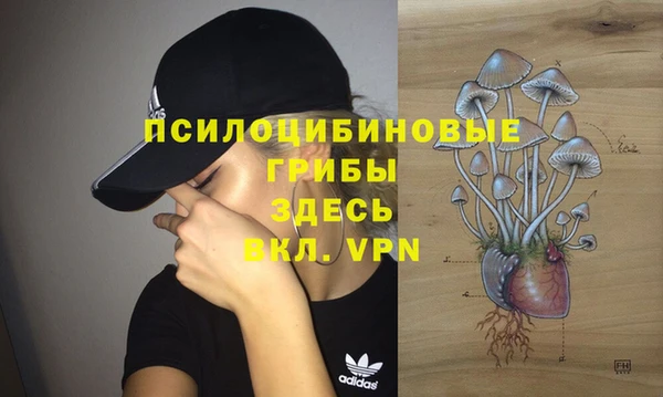 Альфа ПВП Богородск