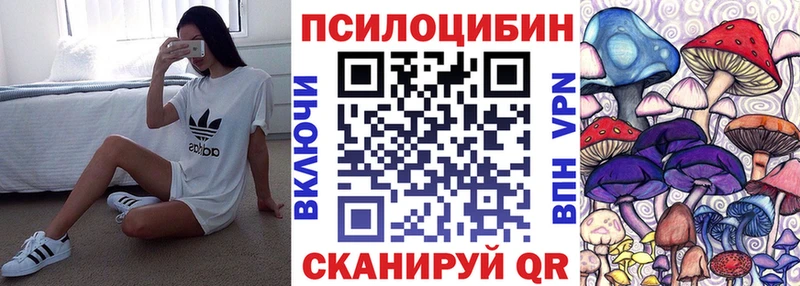где купить наркотик  Хадыженск  Галлюциногенные грибы мицелий 